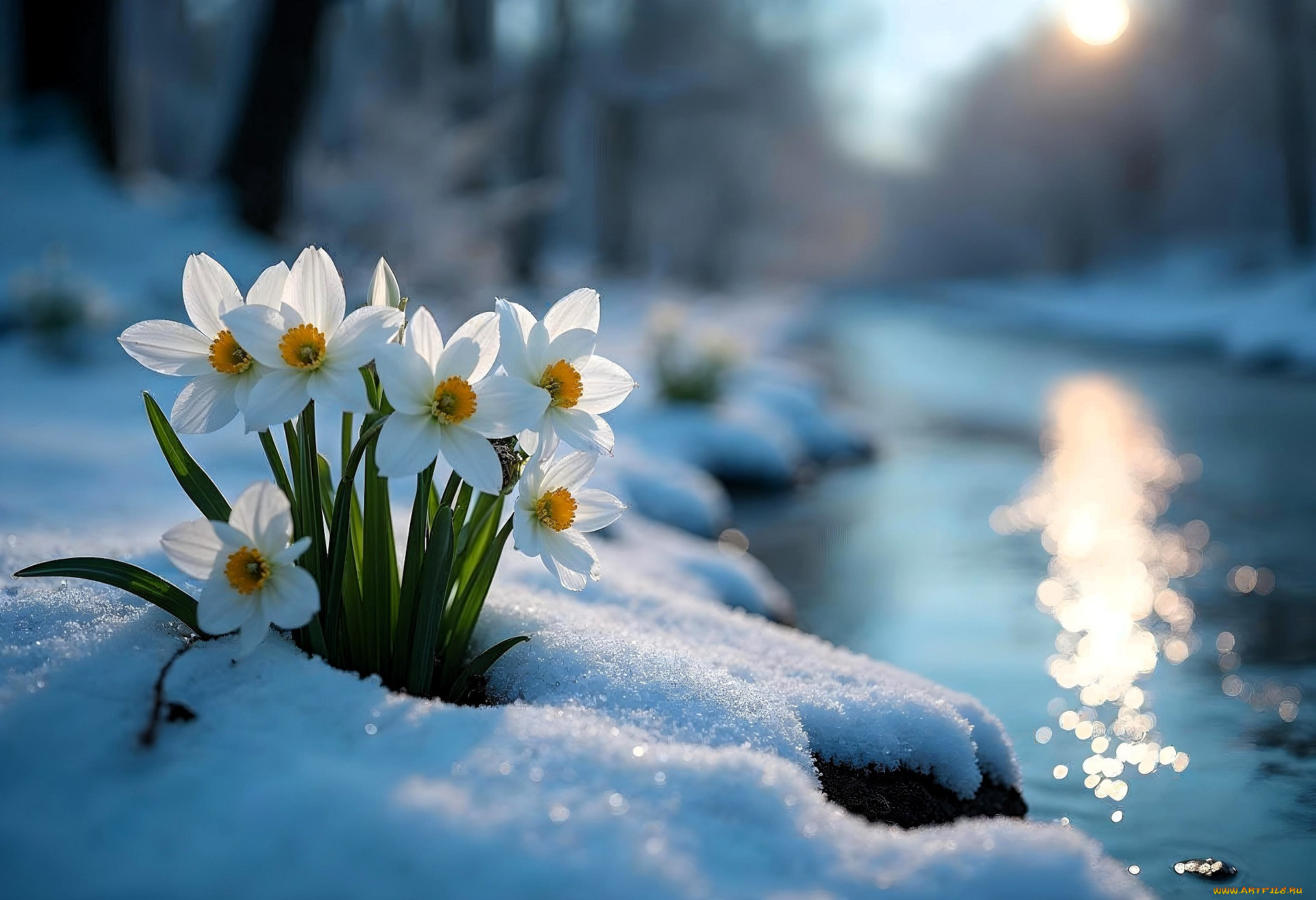 3 ,  , flowers, , , , 